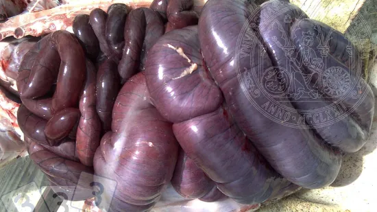 Semana de 16-Out-2025