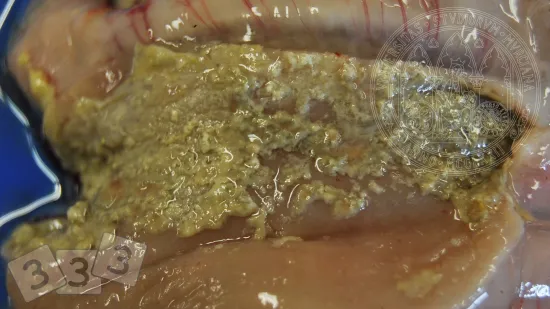 Semana de 05-Nov-2025