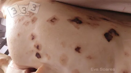 Semana de 20-Nov-2025