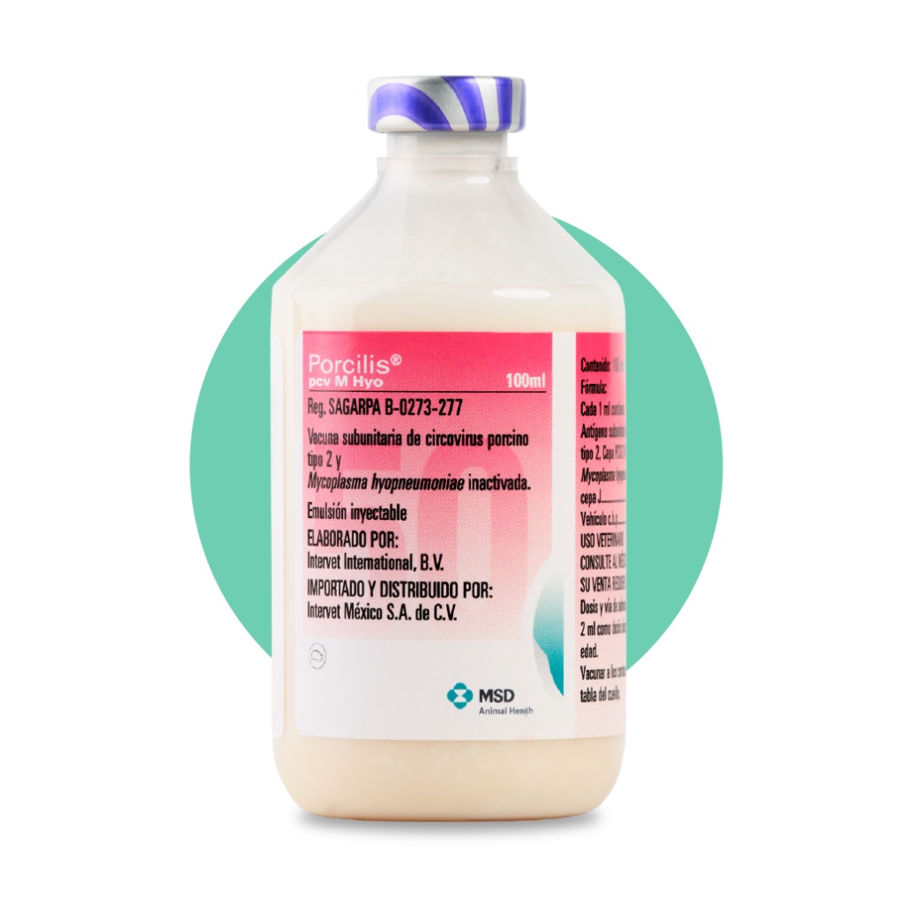 Vacuna: Porcilis® PCV MhyO