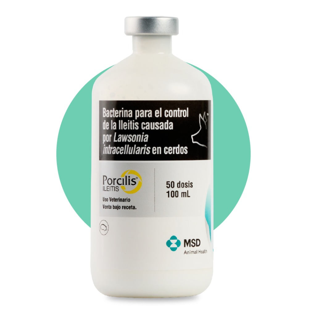 Vacuna: Porcilis® ILEITIS