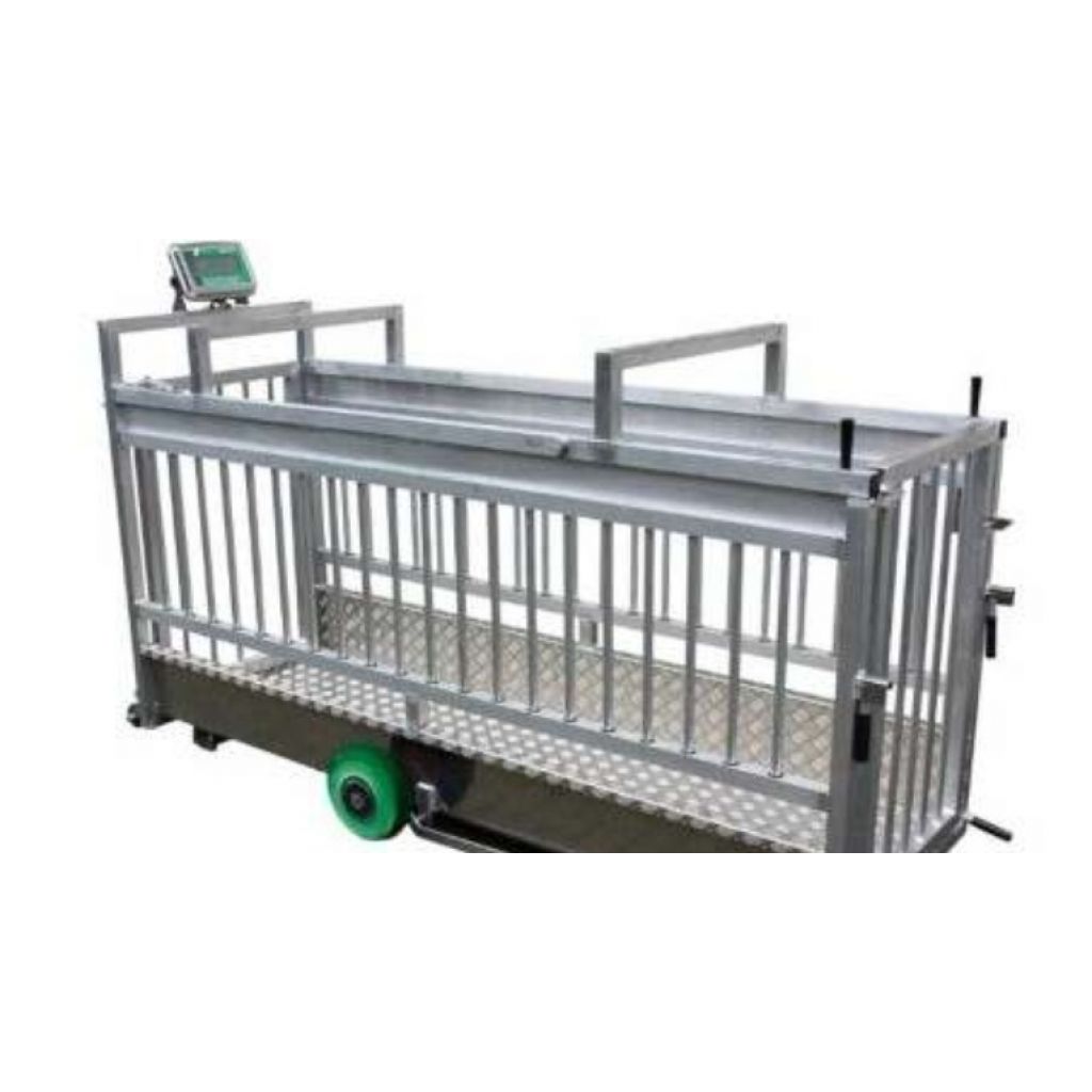 Balança móvel para suínos com laterais abertas