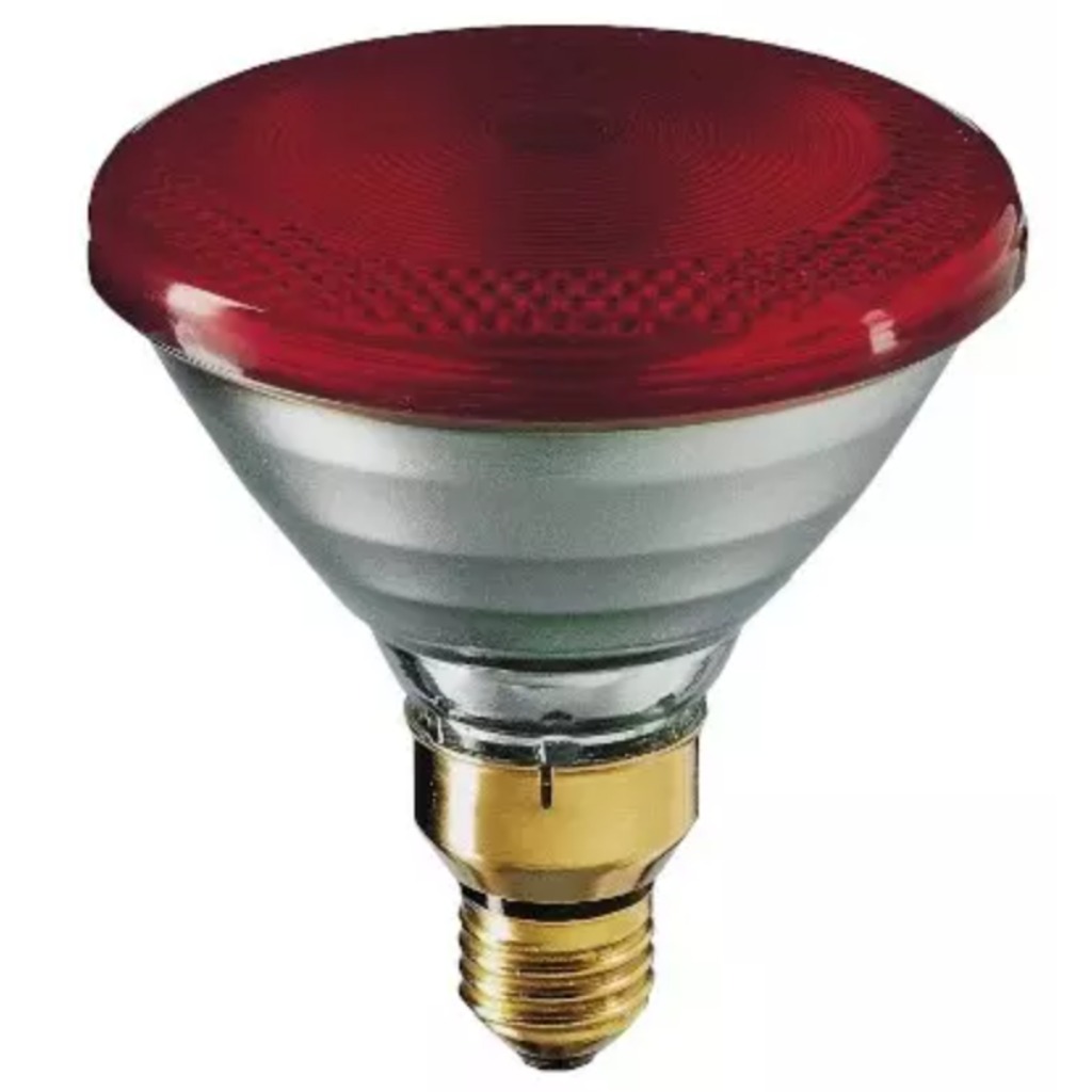 Philips PAR 175 Watt Lampadina a infrarossi 1 unità