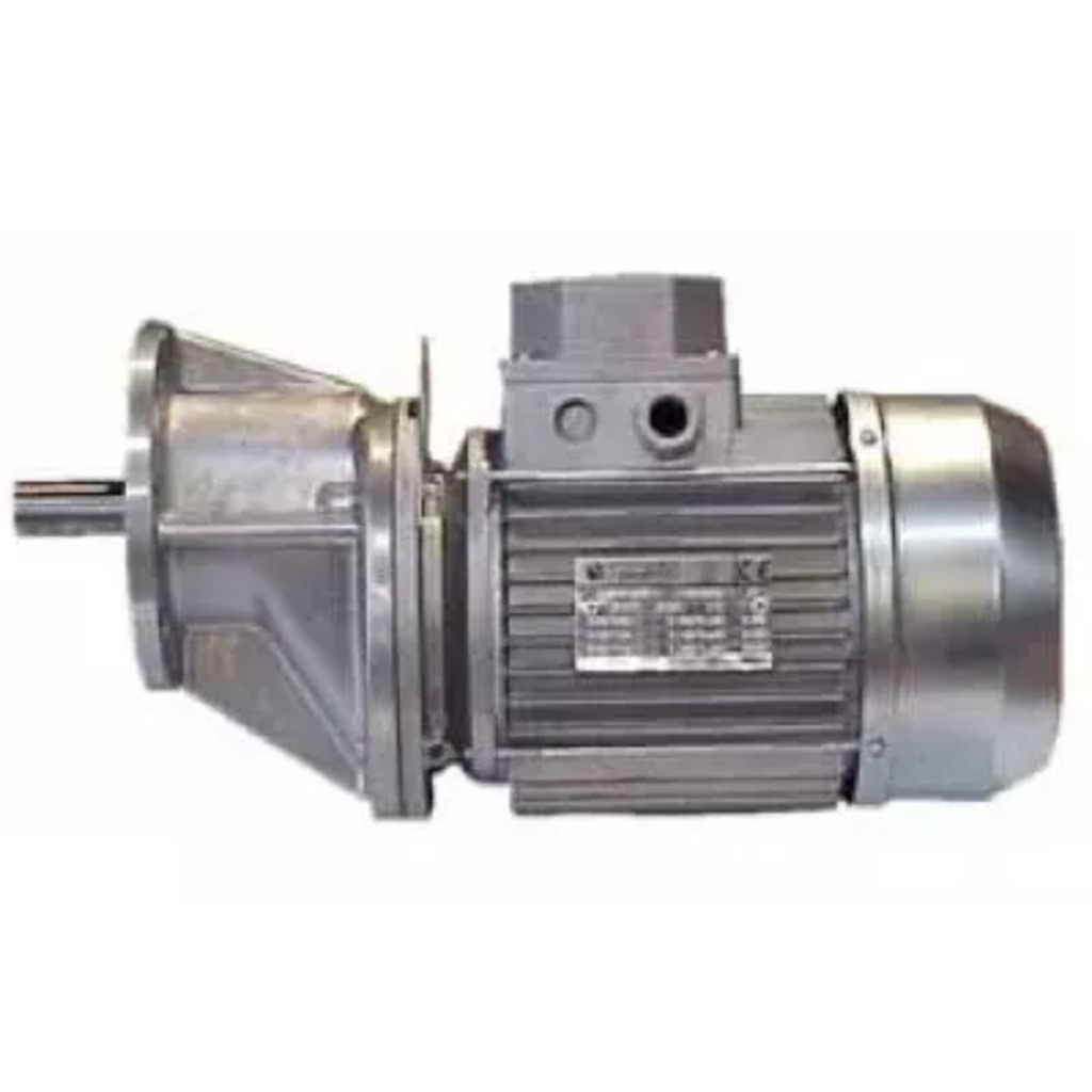 Motoréducteur triphasé 300 tr/min 0,75 kW 50 Hz / 1 cv