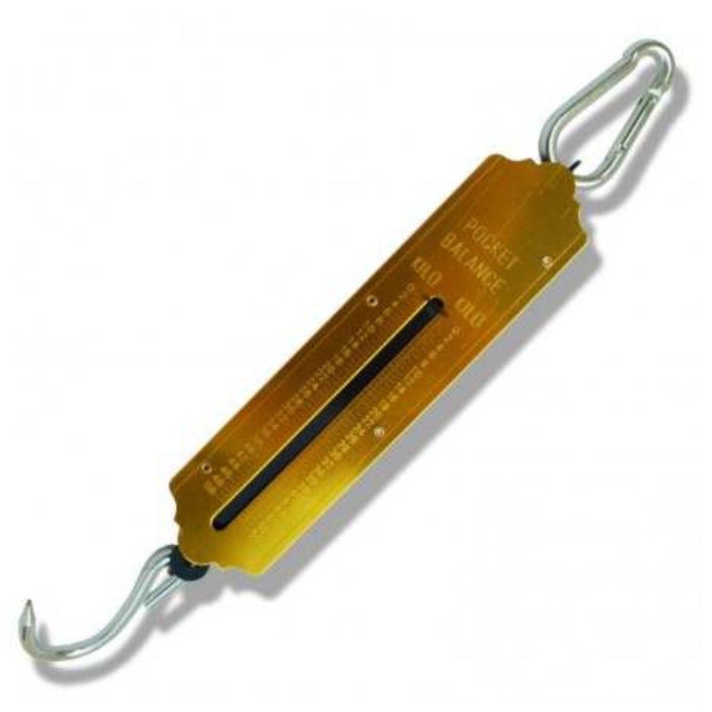 Dynamomètre tubulaire - 50 kg