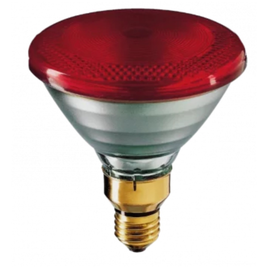 Ampoule infrarouge Philips PAR 100 watts 1 unité