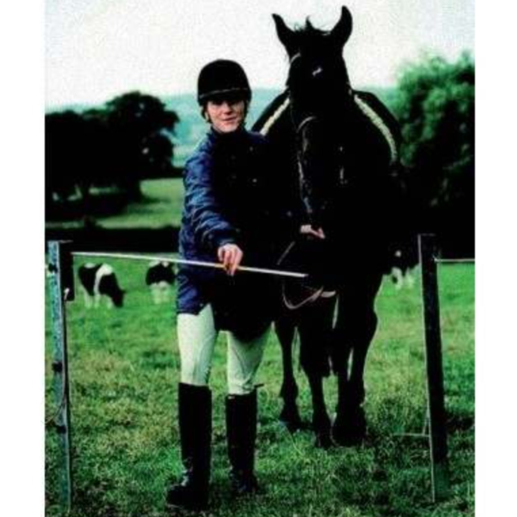 Kit Electrogate portão de cerca elétrica 1,20m