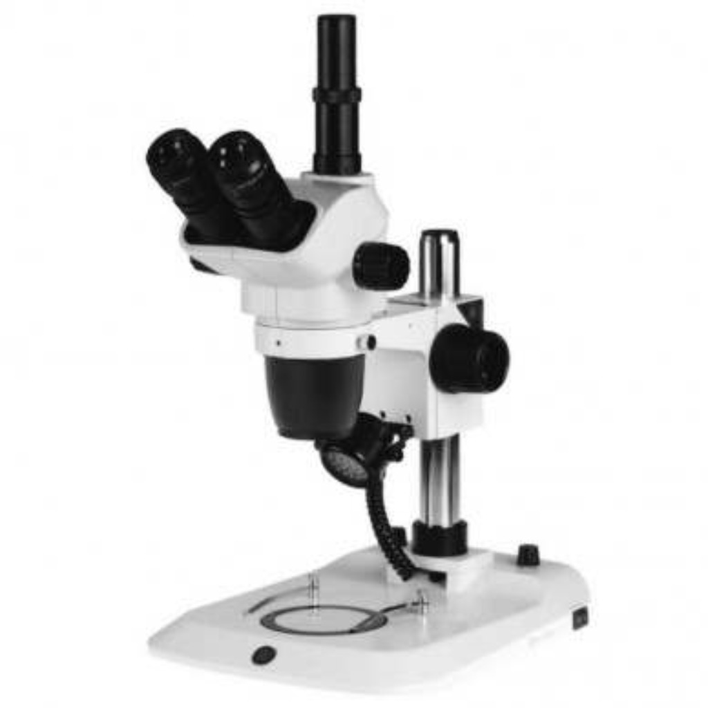 Microscope EUROMEX NexiusZoom. Microscope stéréoscopique trinoculaire.
