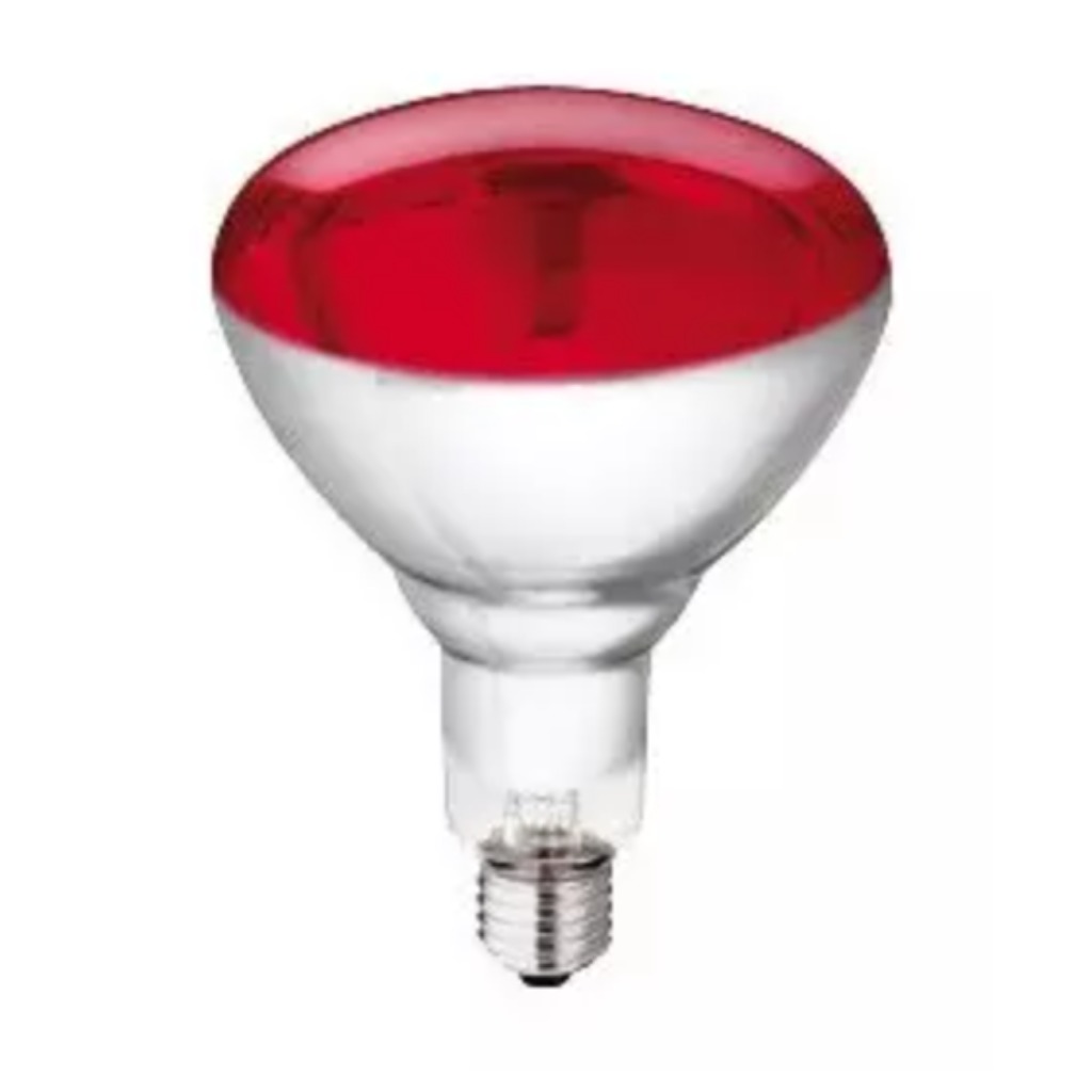 Ampoule chauffante rouge Philips HG 250 watts 10 unités
