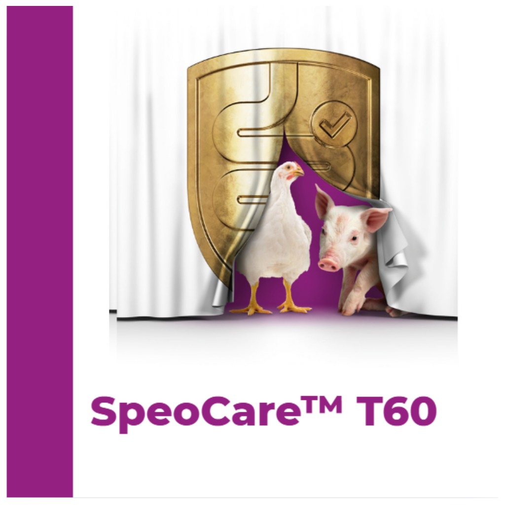 SpeoCare™ T60