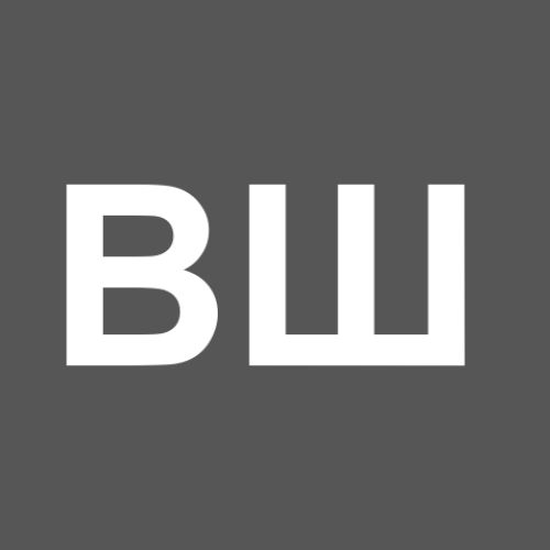 Владислав Швецов