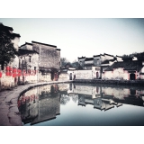 zhang fang